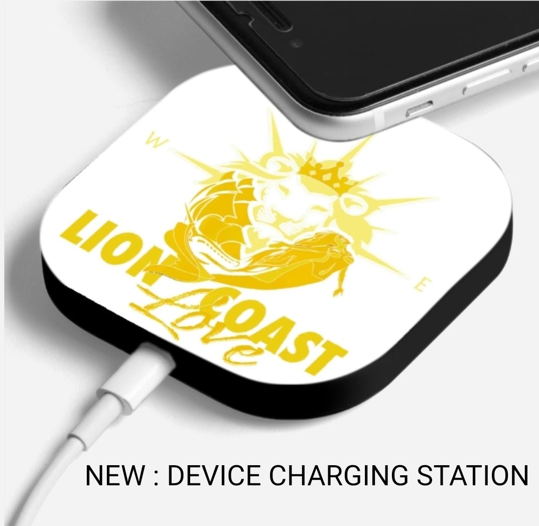 Portable iphone charger